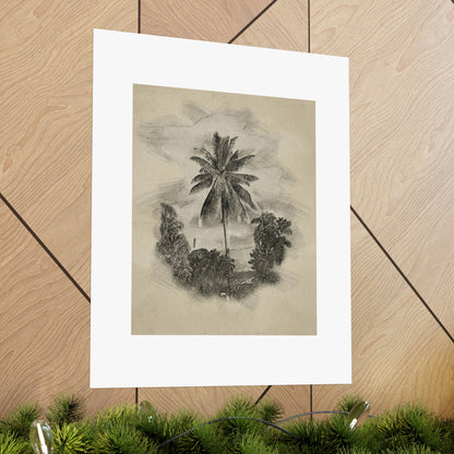 Palm Sketch Matte Poster