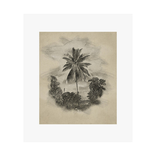 Palm Sketch Matte Poster